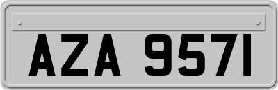 AZA9571