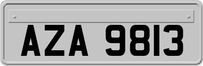 AZA9813