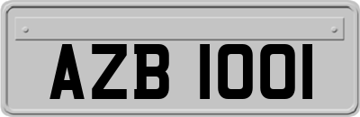 AZB1001