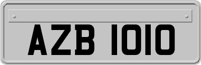 AZB1010