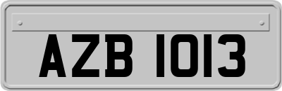 AZB1013