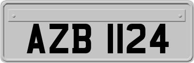 AZB1124