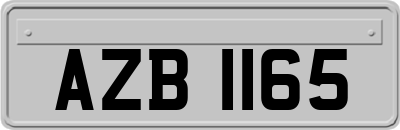AZB1165