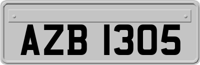 AZB1305