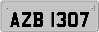AZB1307