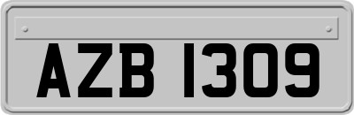 AZB1309