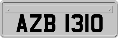 AZB1310