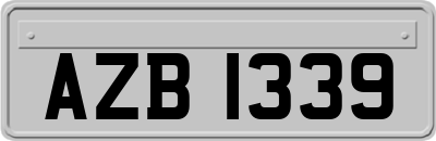 AZB1339
