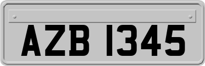 AZB1345