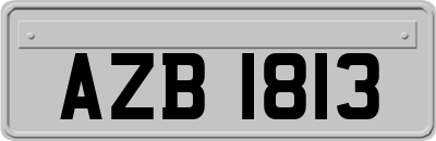 AZB1813