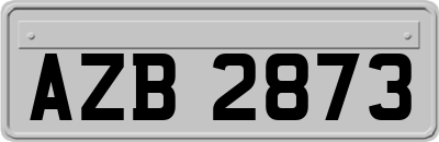 AZB2873