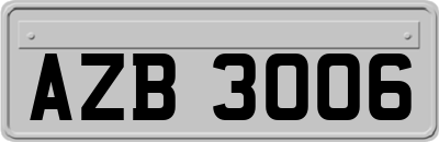 AZB3006