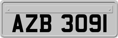 AZB3091