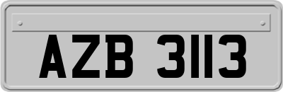AZB3113