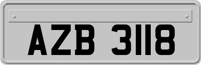 AZB3118