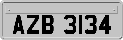 AZB3134
