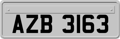 AZB3163