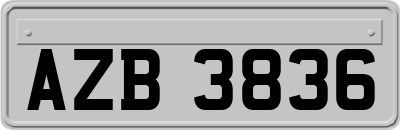 AZB3836
