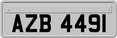 AZB4491