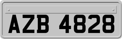 AZB4828