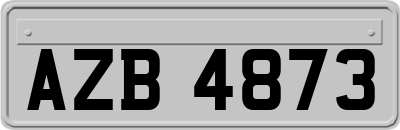 AZB4873