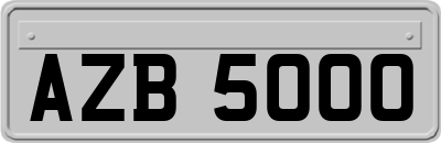 AZB5000