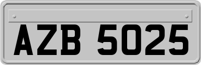 AZB5025