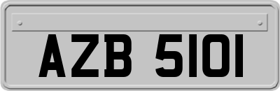 AZB5101