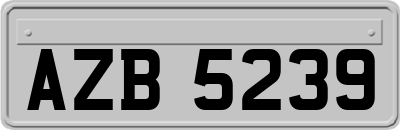 AZB5239