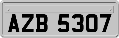 AZB5307