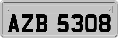 AZB5308
