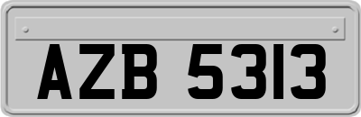 AZB5313