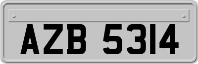 AZB5314