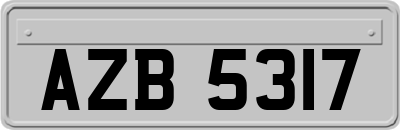 AZB5317