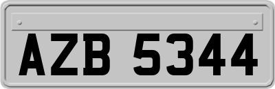 AZB5344