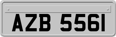 AZB5561