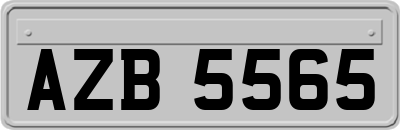 AZB5565