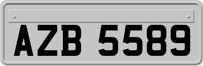 AZB5589