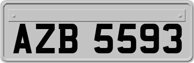 AZB5593