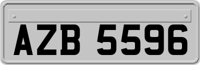 AZB5596