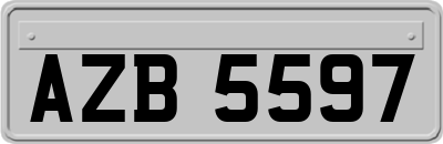AZB5597