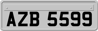 AZB5599