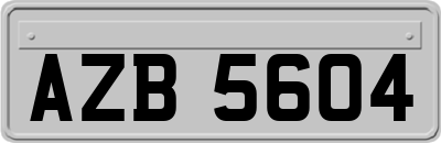 AZB5604