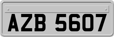 AZB5607