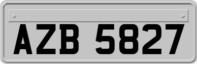 AZB5827
