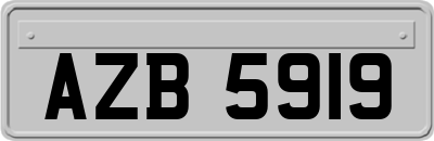 AZB5919