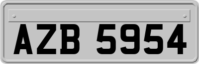 AZB5954