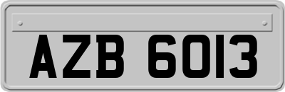AZB6013