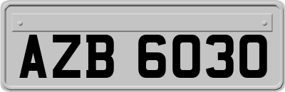 AZB6030
