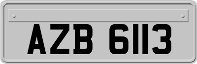 AZB6113